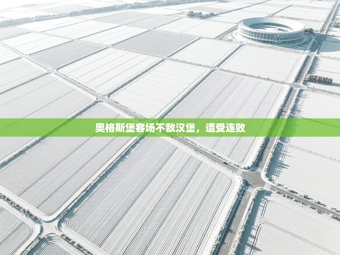 奥格斯堡客场不敌汉堡,遭受连败 第1张