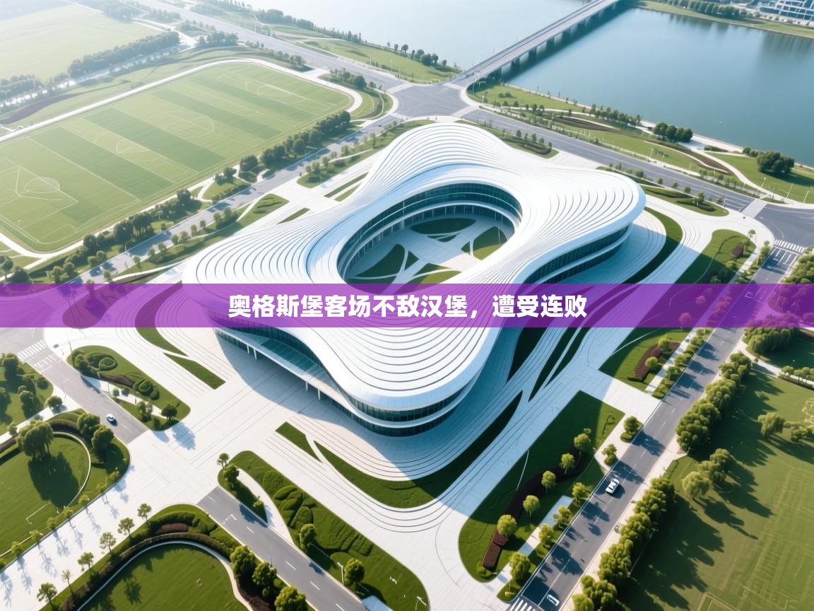 奥格斯堡客场不敌汉堡,遭受连败 第2张