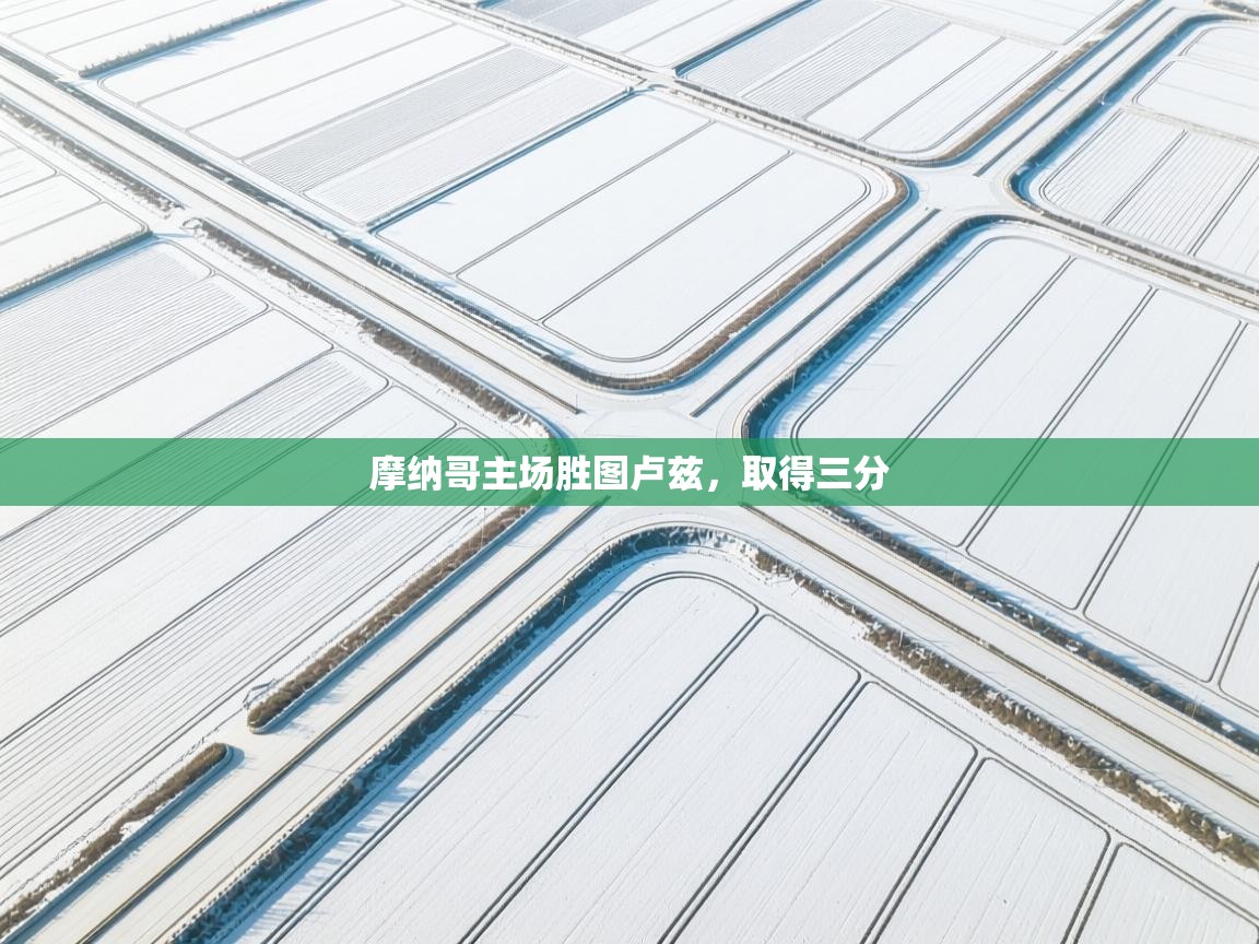 摩纳哥主场胜图卢兹,取得三分 第1张