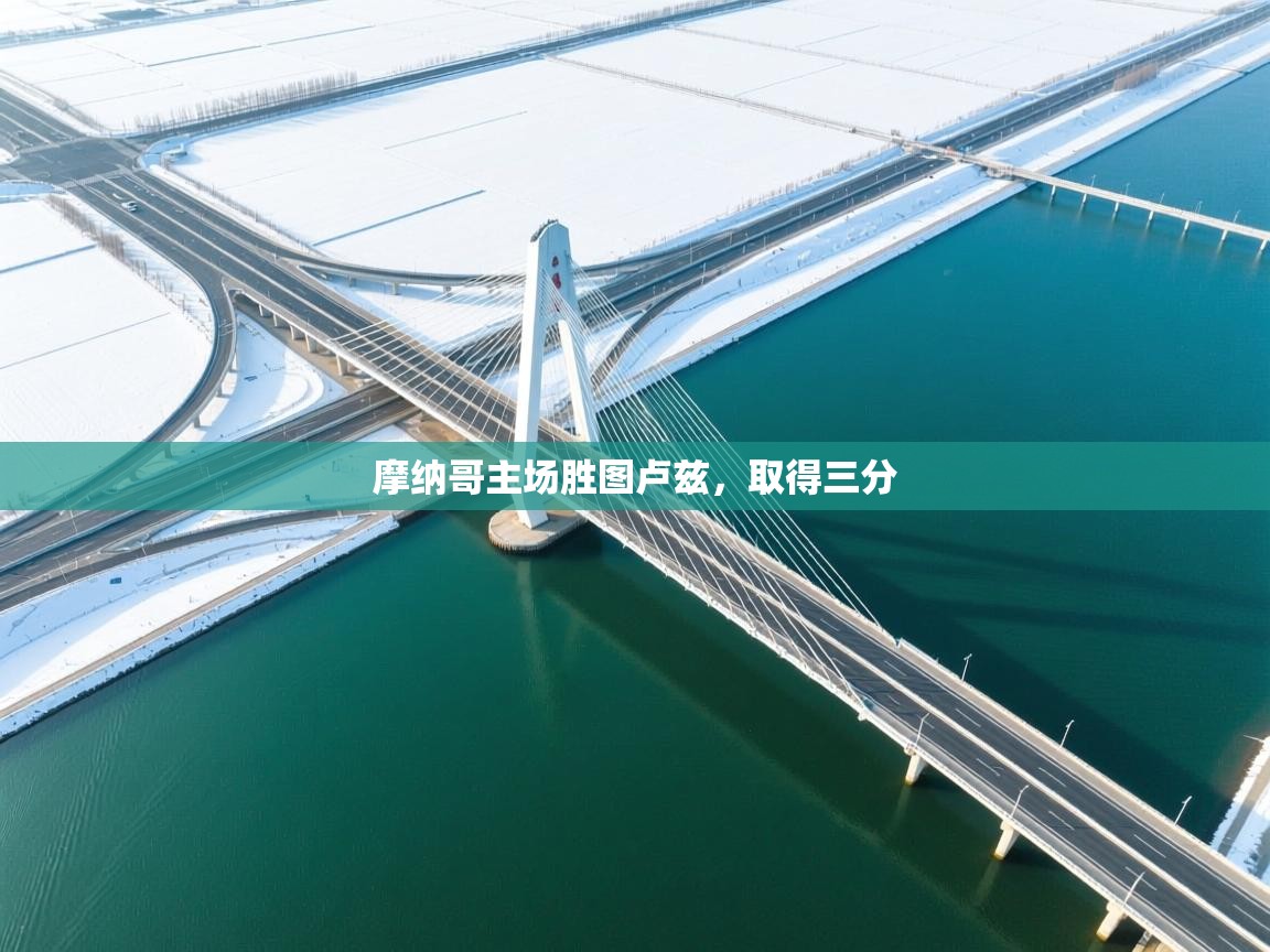 摩纳哥主场胜图卢兹,取得三分 第2张