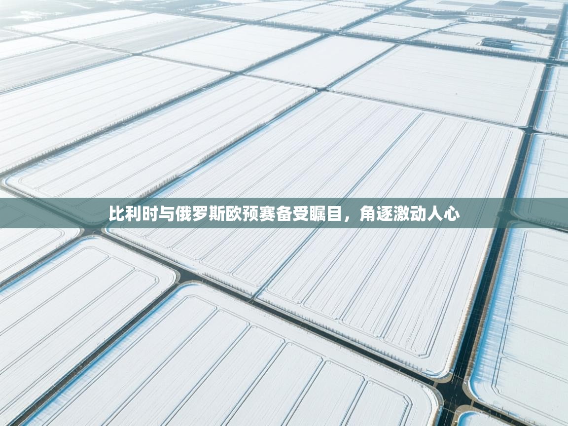 比利时与俄罗斯欧预赛备受瞩目，角逐激动人心  第2张